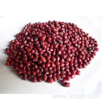 adzuki beans tea food